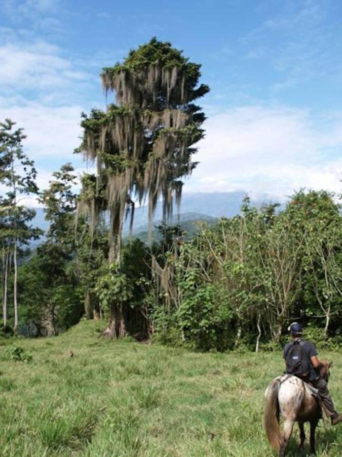 Hacienda Monteclaro Hotel Turrialba Exterior foto
