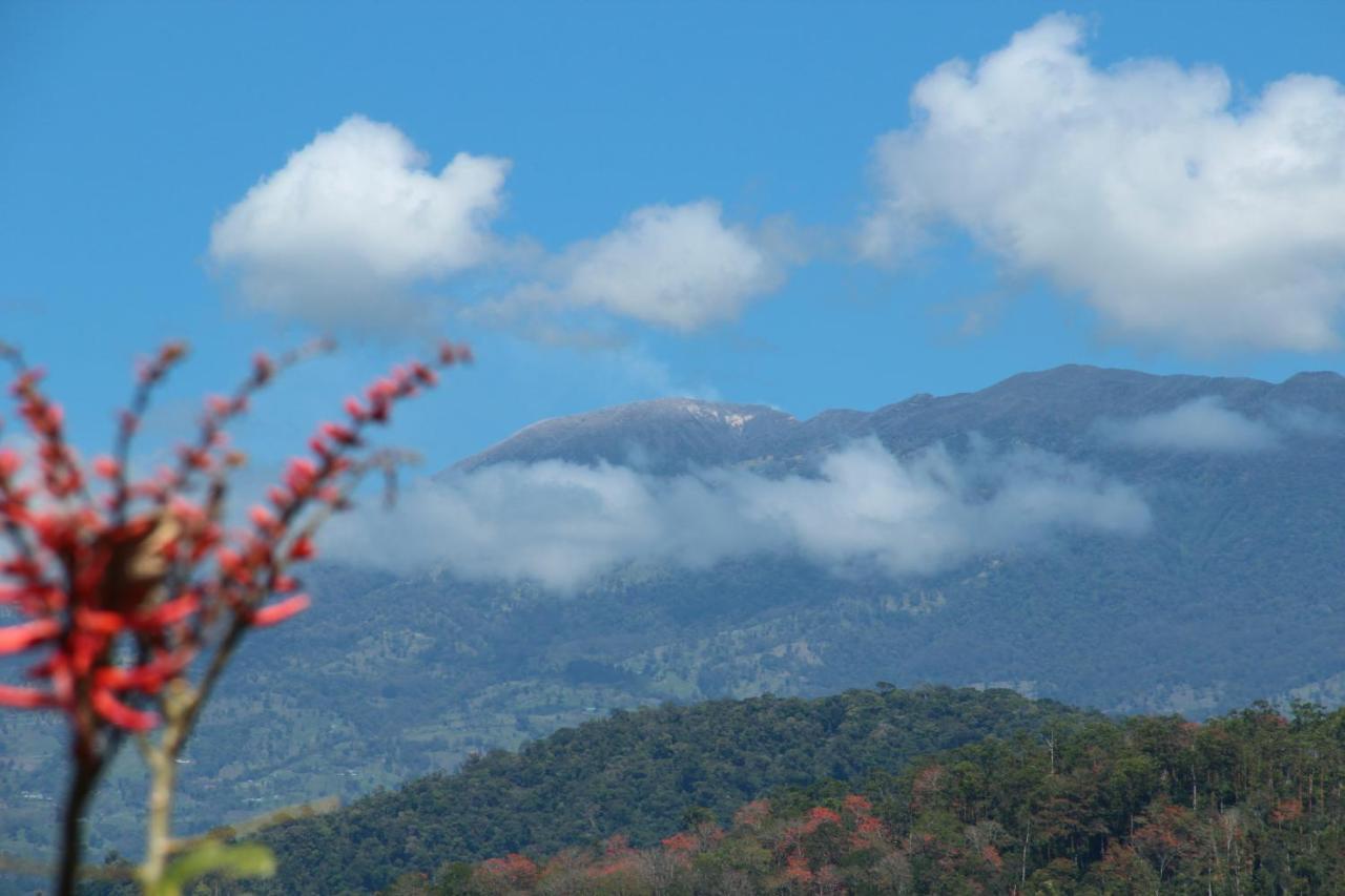 Hacienda Monteclaro Hotel Turrialba Cameră foto